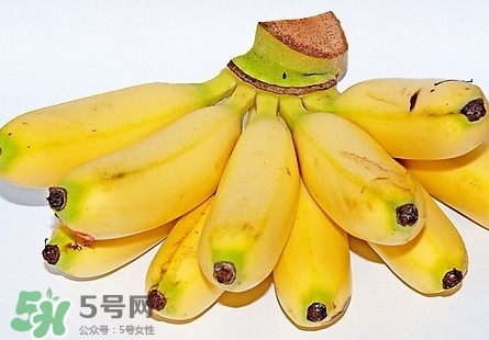芭蕉熱量高嗎？芭蕉可以減肥嗎