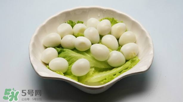 鵪鶉蛋和雞蛋哪個營養(yǎng)價值高？鵪鶉蛋怎么選購？