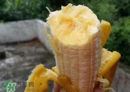 芭蕉是熱性還是涼性？芭蕉是熱性還是寒性？