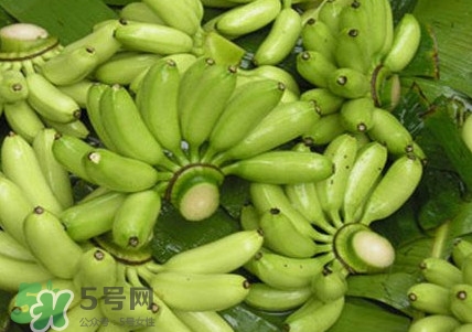 芭蕉如何保存時(shí)間久？青芭蕉摘下來(lái)怎么保存