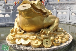 蟾蜍能活多久？蟾蜍可以活多少年
