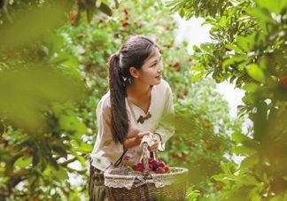 仙居楊梅在哪里？仙居楊梅哪里最好？