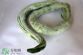 蛇瓜怎么挑選？蛇瓜的選購技巧
