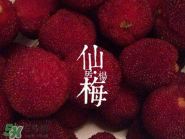 仙居楊梅多少錢一斤？仙居楊梅多少錢一斤2017？