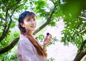 仙居楊梅在哪里？仙居楊梅哪里最好？