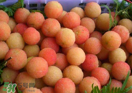 白楊梅可以泡酒嗎？白楊梅泡酒有什么功效？