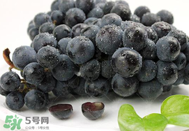 無籽葡萄有哪些品種？無籽葡萄多少錢一斤？