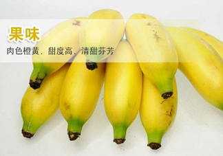 皇帝蕉多少錢一斤？2017皇帝蕉價(jià)格