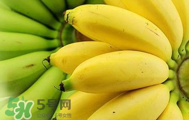 帝王蕉多少錢一斤？帝王蕉是轉(zhuǎn)基因香蕉嗎
