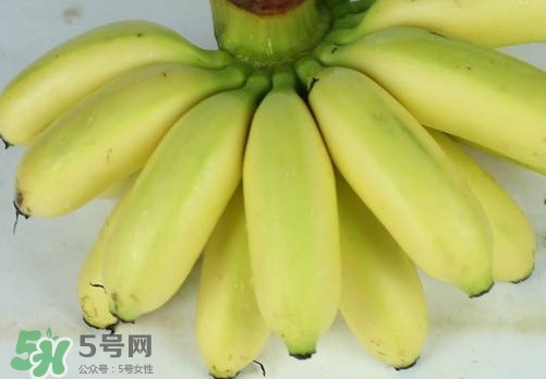 帝王蕉和皇帝蕉有區(qū)別嗎？帝王蕉和普通香蕉區(qū)別