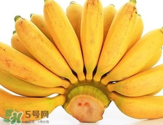 皇帝蕉是芭蕉嗎？皇帝蕉和芭蕉的區(qū)別