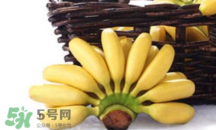 帝王蕉是芭蕉嗎？帝王蕉和芭蕉的區(qū)別