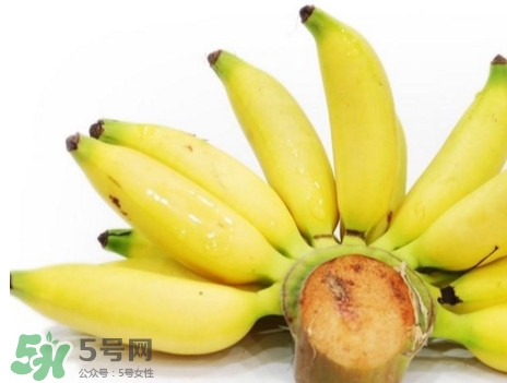 皇帝蕉有什么好處？皇帝蕉的功效與作用