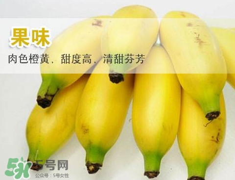 皇帝蕉多少錢一斤？2017皇帝蕉價(jià)格
