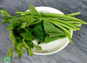 南瓜葉怎么處理？南瓜葉怎么炒？