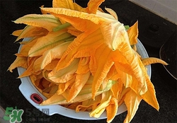 南瓜花有什么作用？南瓜花的作用及禁忌