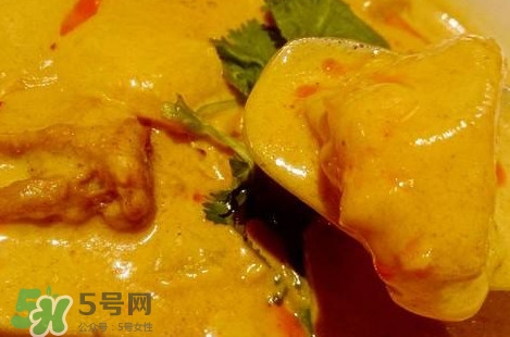 咖喱到底是什么物質(zhì)？咖喱是植物嗎