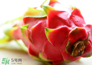 七月份可以種火龍果嗎？火龍果什么時候種植？