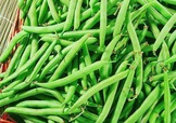 7月份可以種豆角嗎？豆角幾月份種？