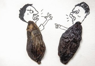 口味王檳榔是什么東西？口味王檳榔怎么吃