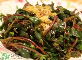 螞蚱菜怎么炒好吃？螞蚱菜做法有哪幾種