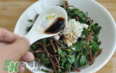 螞蚱菜對(duì)人體有哪些好處？螞蚱菜不能和什么一起吃