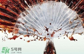 運(yùn)動(dòng)后可以喝可樂嗎？運(yùn)動(dòng)后喝可樂會(huì)胖嗎？