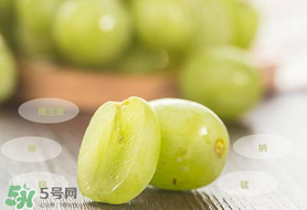 青提怎么保存？青提可以放冰箱嗎？