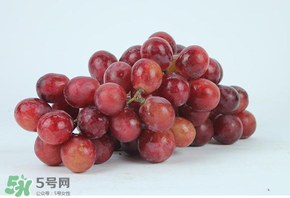 紅提多少錢一斤？紅提子多少錢一斤？