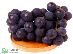 巨峰葡萄幾月份成熟？巨峰葡萄什么時(shí)候成熟？