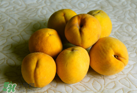 黃桃一天可以吃幾個(gè)？黃桃能多吃嗎？