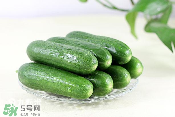 水果黃瓜常溫能放多久？水果黃瓜怎么保存？