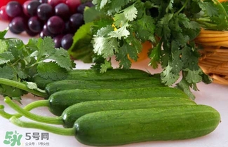 水果黃瓜是轉(zhuǎn)基因嗎？水果黃瓜的功效和作用