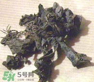 昆布與海帶有什么不同？昆布和海帶的區(qū)別