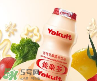 養(yǎng)樂多能自制嗎？自制養(yǎng)樂多的方法