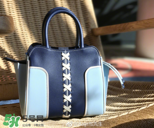 tod's與包先生聯(lián)名合作款折耳包包尺寸多大？