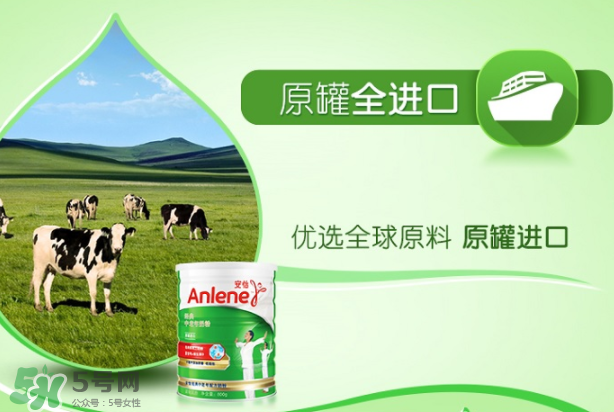 Anlene安怡奶粉怎么樣？Anlene安怡奶粉好不好？