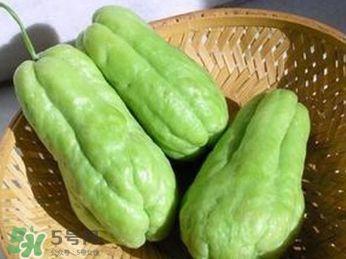 佛手瓜發(fā)芽了可以吃嗎？佛手瓜怎么吃？