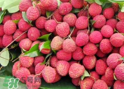 增城荔枝多少錢一斤？增城荔枝哪里的最好吃