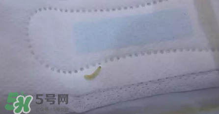 高潔絲衛(wèi)生巾有蟲(chóng)嗎？高潔絲衛(wèi)生巾有熒光劑