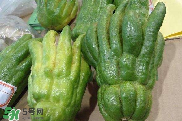 佛手與佛手瓜有什么區(qū)別？佛手與佛手鉗有什么區(qū)別