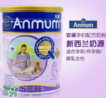 安滿和惠氏孕婦奶粉哪個(gè)好？安滿和惠氏孕婦奶粉的區(qū)別