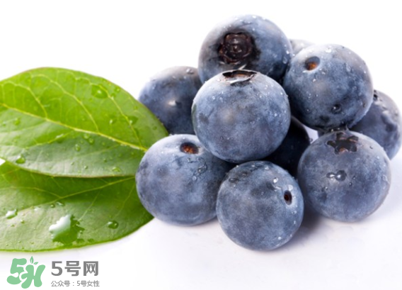 藍(lán)莓是什么顏色？藍(lán)莓泡水什么顏色？