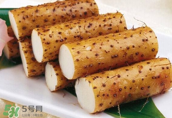 懷山藥是生山藥嗎？懷山藥是鐵棍山藥嗎