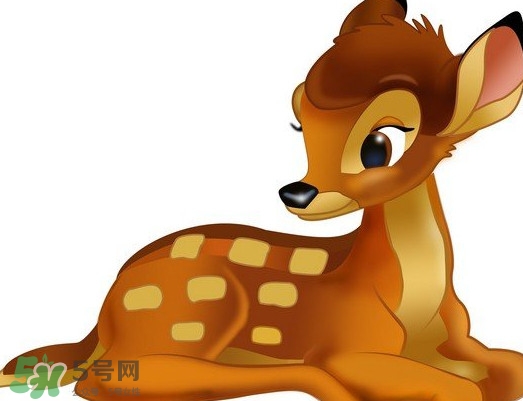 斑比跪是什么意思？斑比跪是什么坐勢