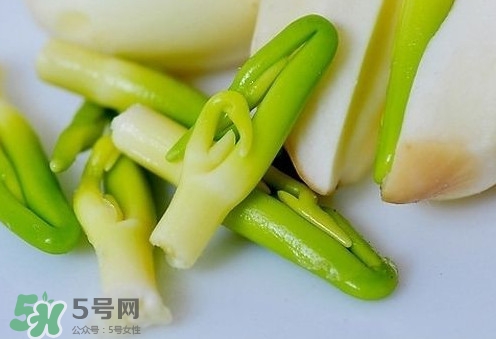 蓮子心與什么搭配好？蓮子心泡茶什么人不能喝