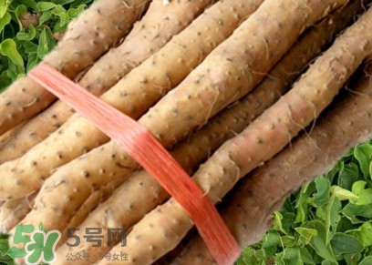 懷山藥可以生吃嗎？懷山藥怎么吃最好