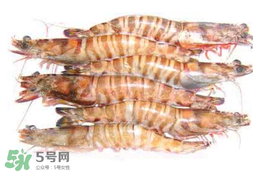九節(jié)蝦是海蝦嗎？九節(jié)蝦是海蝦還是河蝦