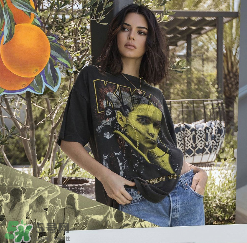 kendall kylie2017復(fù)古系列短袖t恤怎么樣_好看嗎_款式有哪些？