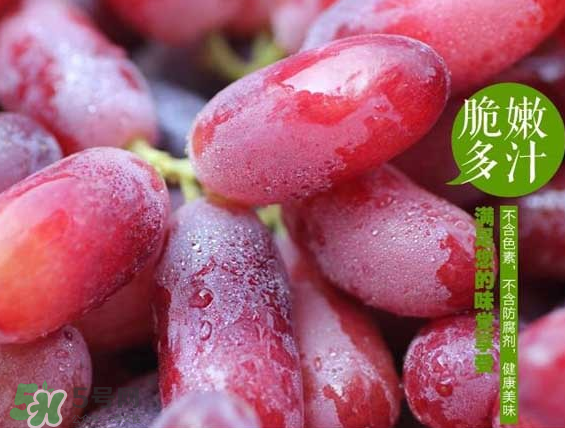 無(wú)籽紅提有涂避孕藥嗎？無(wú)籽紅提是轉(zhuǎn)基因嗎？